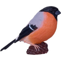 Mojo Hýl obecný v krabičce