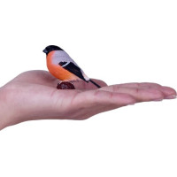 Mojo Hýl obecný v krabičce