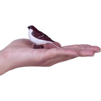 Mojo Vrabec domácí v krabičce