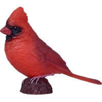 Mojo Kardinál červený v krabičce