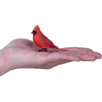 Mojo Kardinál červený v krabičce