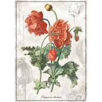 INTERDRUK Puzzle Botanic: Vlčí mák 1000 dílků