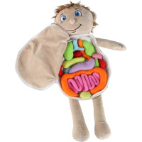 Panenka pro učení anatomie - chlapec