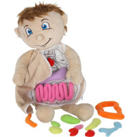 Panenka pro učení anatomie - chlapec