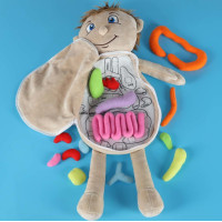 Panenka pro učení anatomie - chlapec