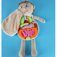 Panenka pro učení anatomie - chlapec