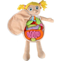 Panenka pro učení anatomie - dívka