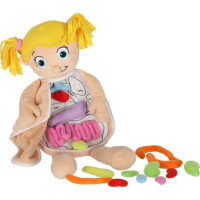 Panenka pro učení anatomie - dívka