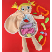 Panenka pro učení anatomie - dívka