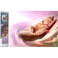 NORIMPEX Diamantové malování Dítě na dlani 30x40 cm
