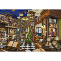 BLUEBIRD Puzzle Prodejce vzácných knih 1000 dílků