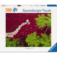 RAVENSBURGER Puzzle Rudé moře 500 dílků