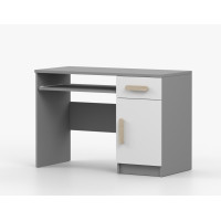 Psací stůl SCOUT - šedý/bílý (více variant)