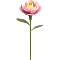 ROBOTIME Rokr Floral Art: 3D puzzle Růžová kamélie 37 dílků