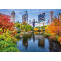 DINO Puzzle Central Park 500 dílků