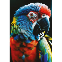 INTERDRUK Puzzle Colorful Nature: Papoušek 250 dílků