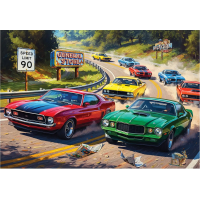 ANATOLIAN Puzzle Milovník rychlosti XL 260 dílků