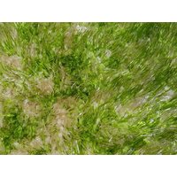 Kusový koberec SHAGGY TOP - zeleno-béžový