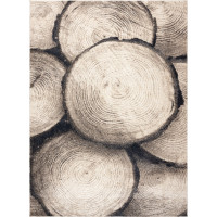 Kusový koberec Fusion 9612 cream/beige