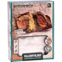 JOKOMISIADA Archeologická sada: Tajemná fosilie