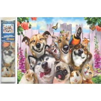 NORIMPEX Diamantové malování Bláznivá selfie 30x40 cm