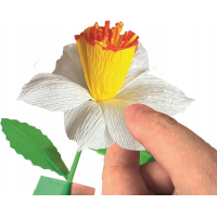 CLEMENTONI IDEA Květinová továrna: Narcis