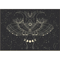 INTERDRUK Puzzle Galaxy: Měsíční motýl 500 dílků