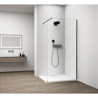 Polysan ESCA GUN METAL jednodílná sprchová zástěna k instalaci ke stěně, sklo čiré, 1000 mm ES1010-11