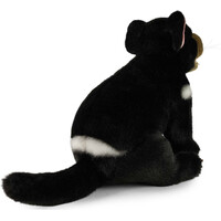 Rappa Plyšový tasmánský čert 25 cm ECO-FRIENDLY