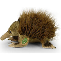 Rappa Plyšová ježura australská 24 cm ECO-FRIENDLY