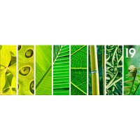 Obraz na plátně PANORAMA PLANTS - vzor 19