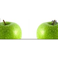 Obraz na plátně PANORAMA APPLE - vzor 26