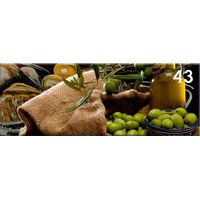 Obraz na plátně PANORAMA OLIVE - vzor 43