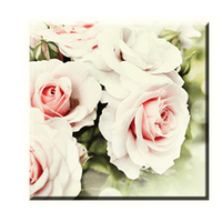 Obraz na plátně 30x30cm WHITE FLOWER - vzor 37