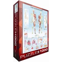 Puzzle Lidské tělo - 1000 dílků