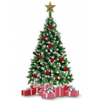Vánoční stromek - diamantová borovice