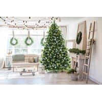 Vánoční stromek - horská borovice 160 cm
