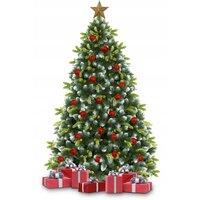Vánoční stromek - horská borovice 180 cm
