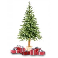 Vánoční stromek - smrk na dřevěném kmeni 220 cm