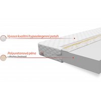 Pěnová matrace BASIC 200x90x10 cm