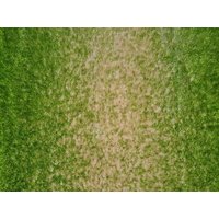 SKLADEM: Kusový koberec SHAGGY NEVADA - zeleno-béžový - 140x190 cm