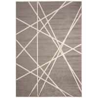 Moderní kusový koberec SPRING Raven - šedý