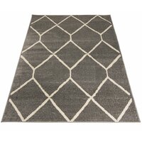 Moderní kusový koberec SPRING Troxi - šedý