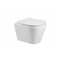 Závěsné WC RICO RIMLESS - bílé + Duroplast sedátko slim