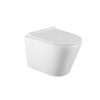 Závěsné WC RICO RIMLESS - bílé + Duroplast sedátko slimball