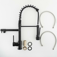 Kuchyňská baterie WIKI se 2 výtoky - černá