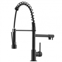 Kuchyňská baterie WIKI se 2 výtoky - černá