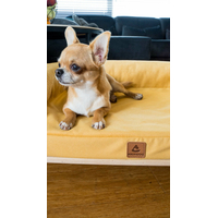 Pohovka pro psy SONIA - hořčicová