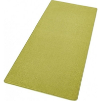 Světle zelený kusový koberec Fancy 103009 green
