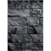 Kusový koberec Parma 9250 black